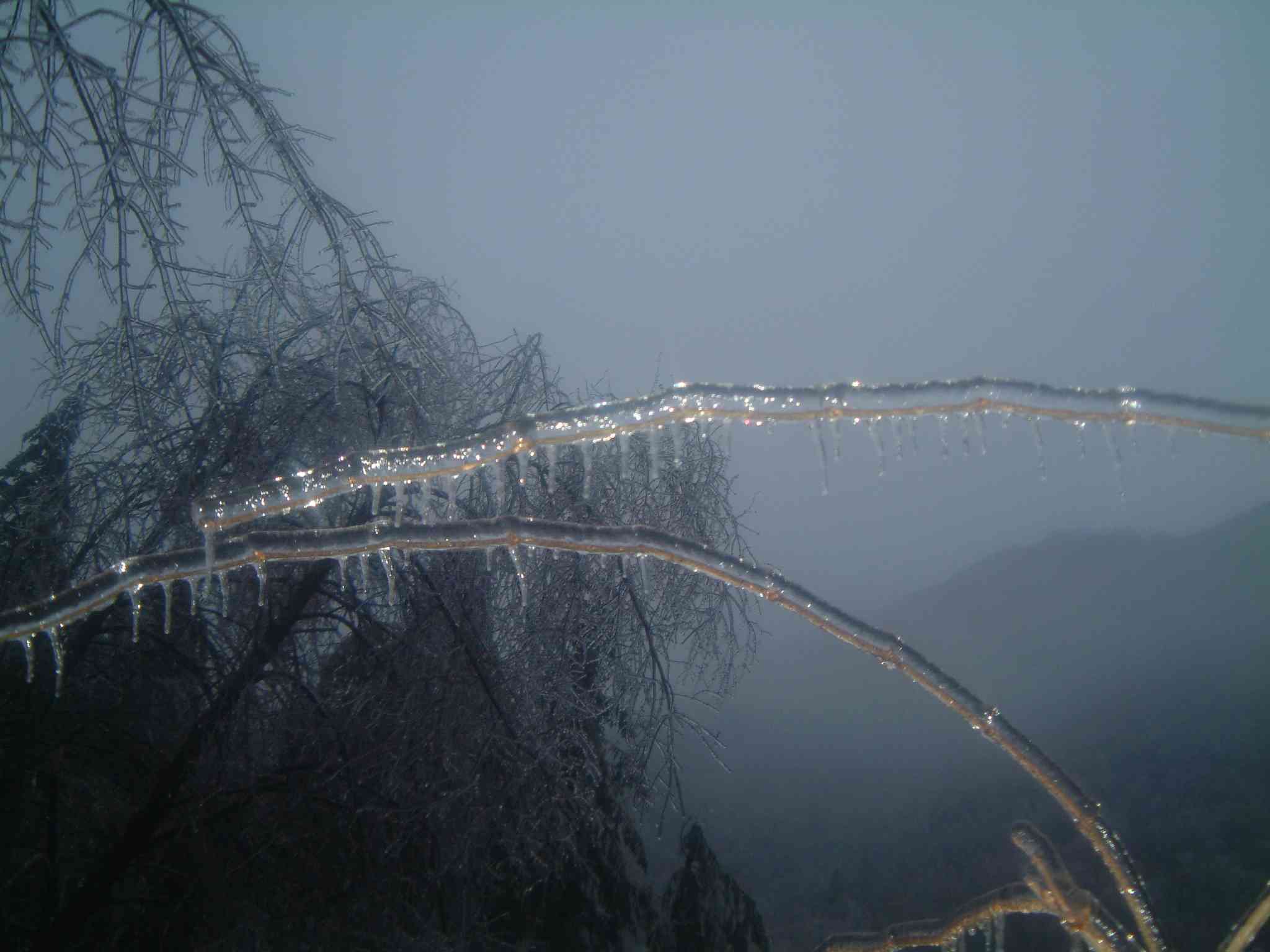  Image name: DSCF6767.JPG 
 width: 2048 pixel 
 height: 1536 pixel 
 Size: 114608 bytes 
 Click to enlarge 